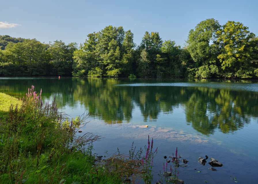 Lake Fishing in Devon