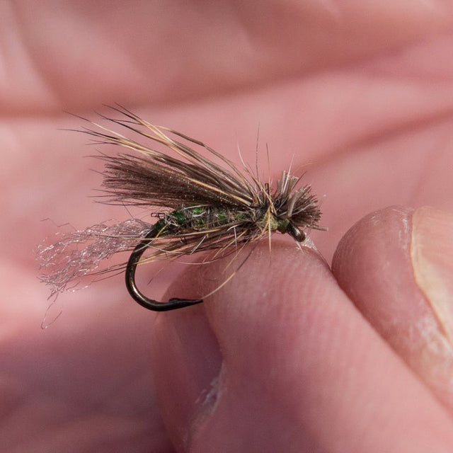 Tying the Grannom Emerger with David Pilkington
